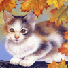Avatars to free download for your forum or blog (7 100 avatars)