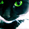 Avatars to free download for your forum or blog (7 100 avatars)