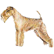 Avatars to free download for your forum or blog (7 100 avatars)