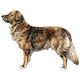 Avatars to free download for your forum or blog (7 100 avatars)