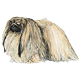 Avatars to free download for your forum or blog (7 100 avatars)