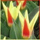 Avatars to free download for your forum or blog (7 100 avatars)