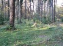 The Czech republic