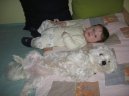 Maltese