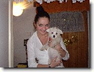 Maltese