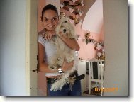 Maltese