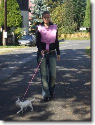 Chihuahua
