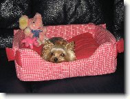 Jorkšírský terier, Yorkshire Terrier,