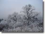 Slovensko