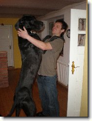 Nmeck doga
