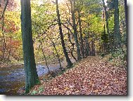 The Czech republic