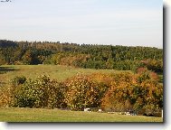 The Czech republic