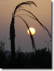 Egypt