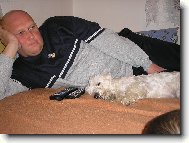 Maltese