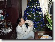 Maltese