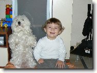 Maltese