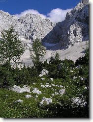 Slovenia