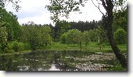 The Czech republic