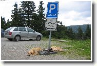 Czech Republic