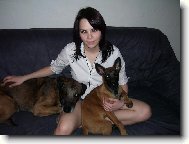 Chien de Berger Belge - Malinois