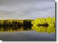 Czech Republic