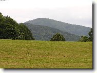 Czech Republic