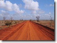 n�rodn� park Tsavo