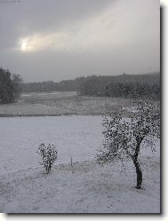 The Czech republic