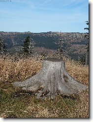 The Czech republic
