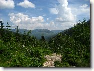 Send postcard: 1172