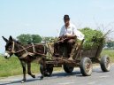 Photo: Romania