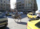 Photo: Syria